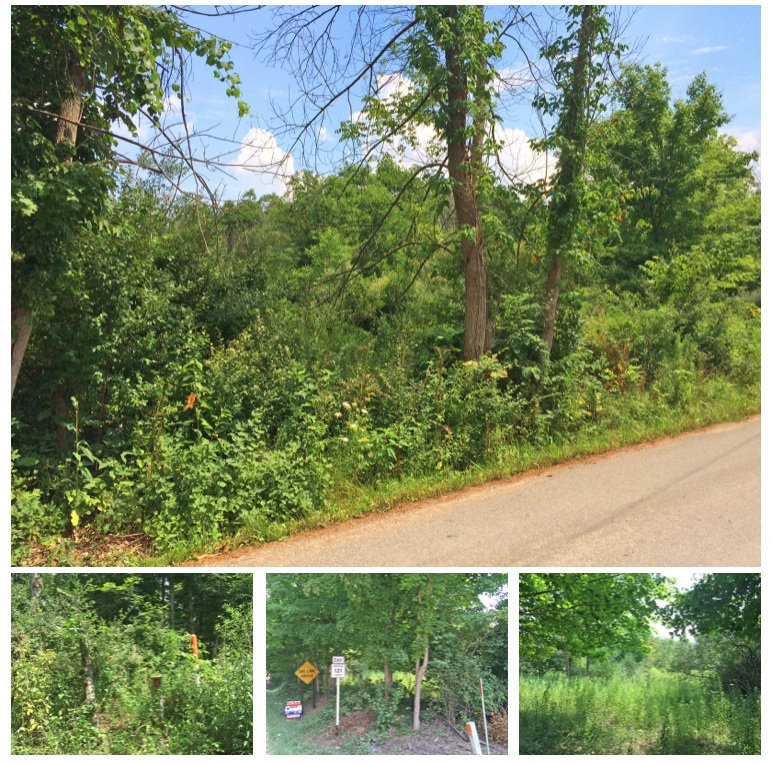 10 Acres of Morrow County Ohio Land For Sale on County Road 121 and
